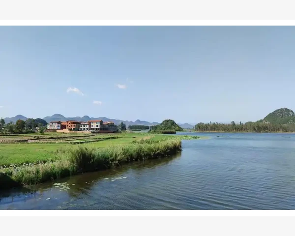 橙皮水：中医传统的神奇止咳化痰良方吗？